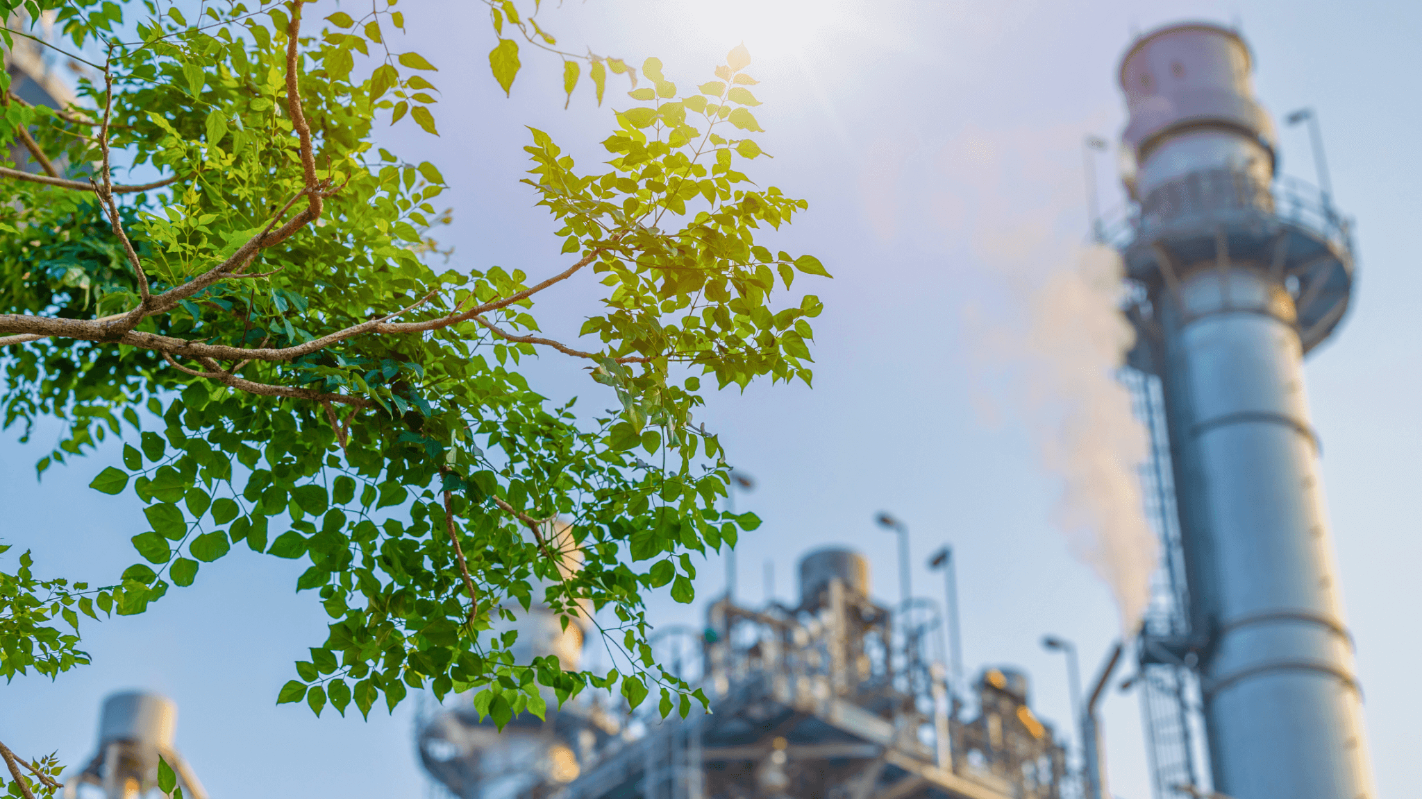 Navegando por las consideraciones ambientales en las plantas industriales